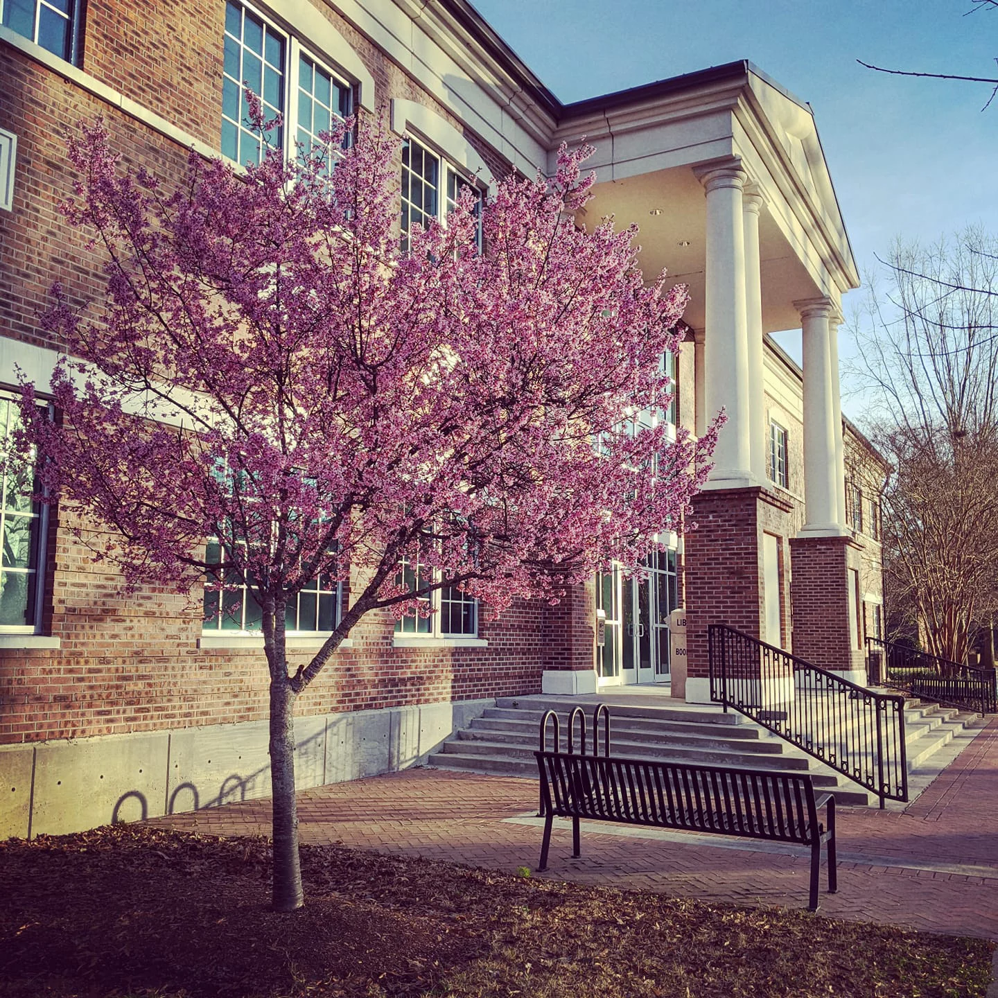 Coker College Library church building church architect